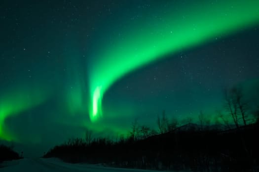 Awesome display of aurora borealis northern lights above empty snow covered road in Norway and Finland