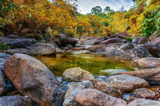 River stone and tree colorful, View water river tree, Stone river in multi color tree leaf in forest