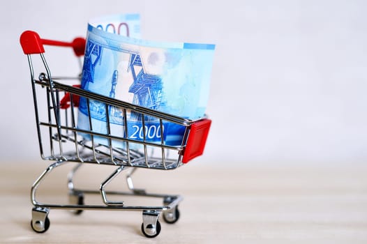 Russian money banknotes in a shopping trolley, online shopping concept