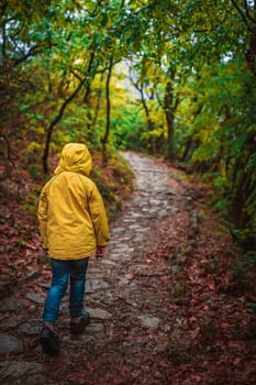 Young Caucasian girl wearing yellow waterproof jacket walking on a narrow path in a forest in autumn