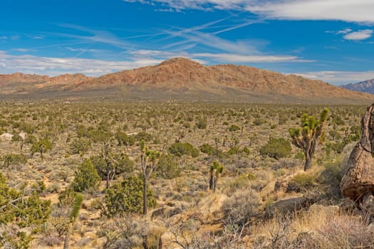 Desert Mountain Panorama in Early Spring in the Mojave National Preserve in California