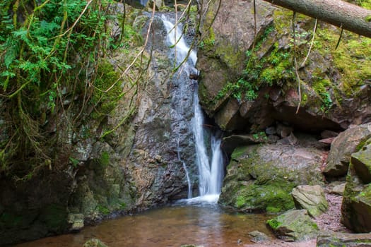 Lotenbach Gorge in Blach Forest, Germany