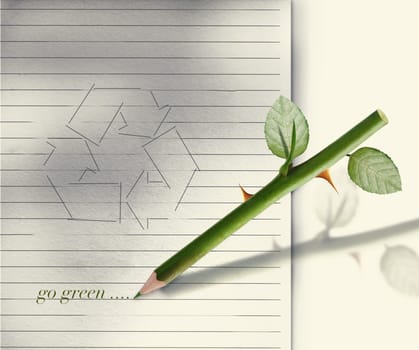 Green pencil rose stem and thorn with leaves.