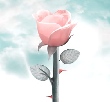 fresh yellow rose in vintage blue sky, clipping path and alpha channel included.