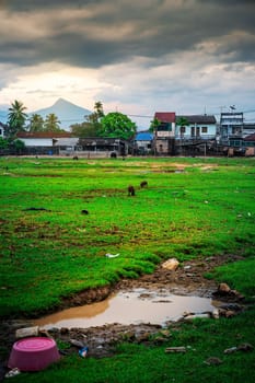 A city full of degradation and pollution that is caused by people, The cruelty of war and dictatorship