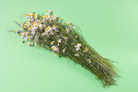 Bouquet of Freshly Picked Camomile Flowers On Yellow Background