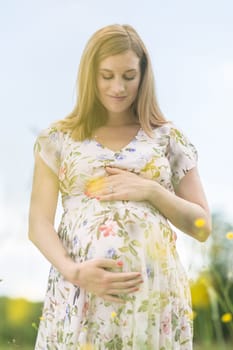 Portrait of beautiful pregnant woman in white summer dress relaxing in meadow full of yellow blooming flowers. Concept of healthy maternity care.