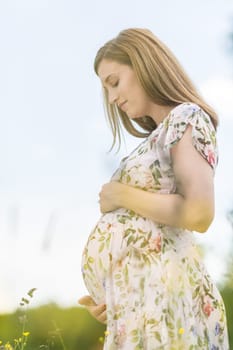 Portrait of beautiful pregnant woman in white summer dress relaxing in meadow full of yellow blooming flovers. Concept of healthy maternity care.