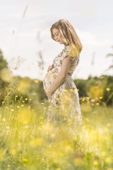 Portrait of beautiful pregnant woman in white summer dress relaxing in meadow full of yellow blooming flowers. Concept of healthy maternity care.