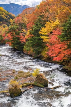 Autumn fall forest with stream water to Ryuzu Falls with lake Chezenji in background, Nikko Tochigi Japan