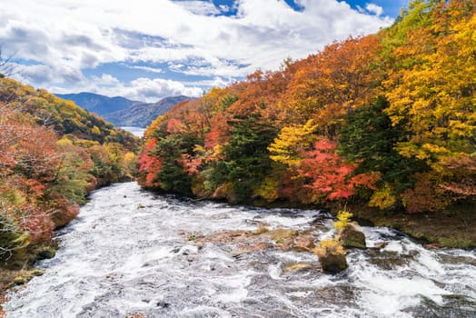 Autumn fall forest with stream water to Ryuzu Falls with lake Chezenji in background, Nikko Tochigi Japan