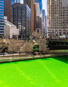 Chicago Skylines building along green dyeing river of Chicago River on St. Patrick day festival in Chicago Downtown IL USA