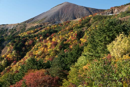 Autumn fall foliage Mountain at Mt.Bandai in Fukushima Tohoku Japan