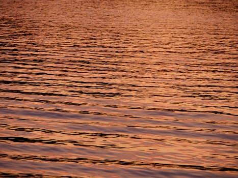 water golden color sun paints the sea surface background