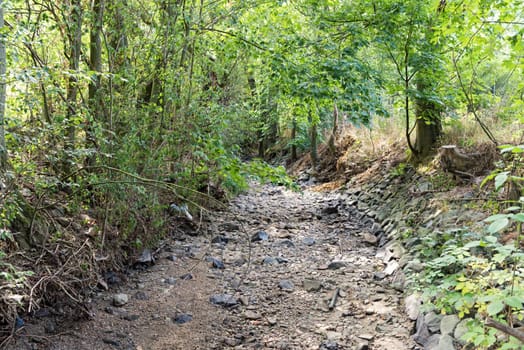 Bed of a dried out creek in the west of Frankfurt am Main