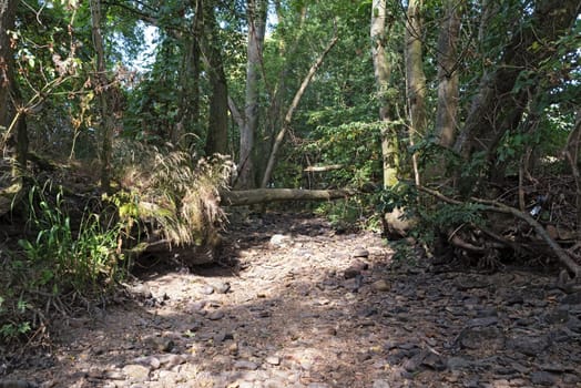 Bed of a dried out creek in the west of Frankfurt am Main