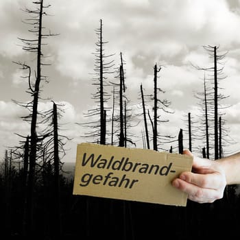 Sign with the inscription "wildfire risk"". In the background a dead forest in the Harz National Park."
