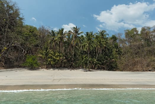 tropical palm beach on the cebaco island panama