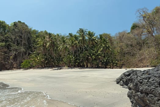 tropical palm beach on the cebaco island panama
