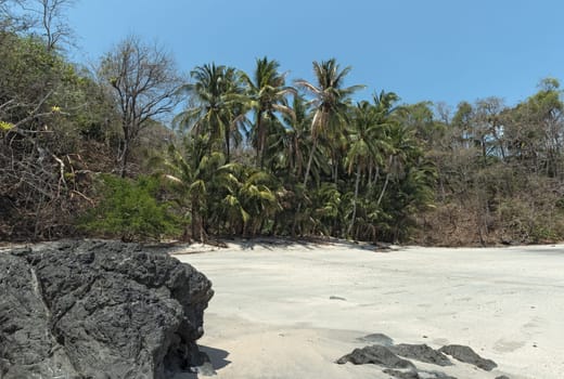 tropical palm beach on the cebaco island panama
