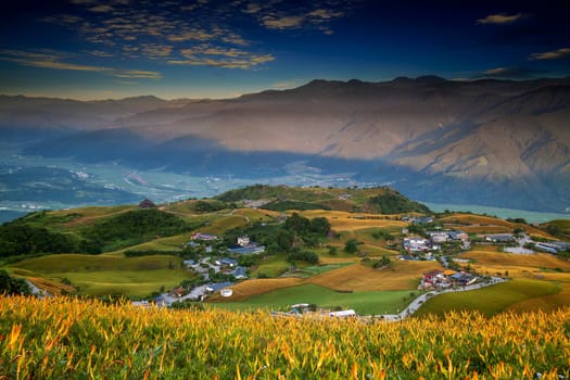 The Aerial view of the famous and beautiful Daylily flower at sixty Stone Mountain in Hualien Taiwan