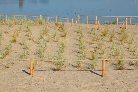 Sand dunes with path and fence, Germany, Europe..