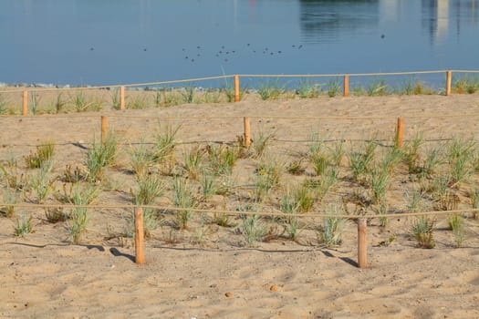 Sand dunes with path and fence, Germany, Europe..