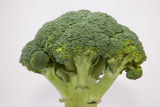 Whole broccoli plant set as a tree. Isolated on white background