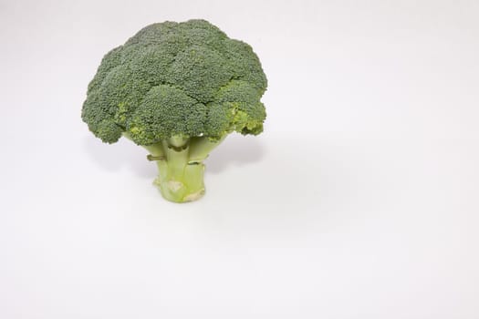 Whole broccoli plant set as a tree. Isolated on white background