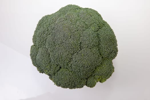 Broccoli plant closeup. Isolated on white background