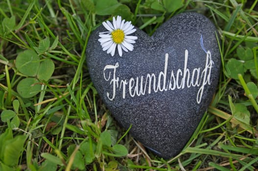 Friendship