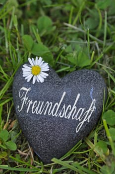 Friendship