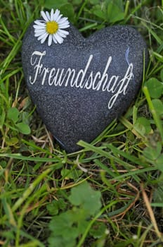 Friendship