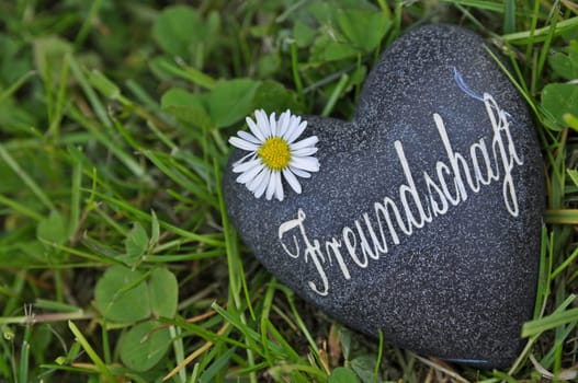 Friendship