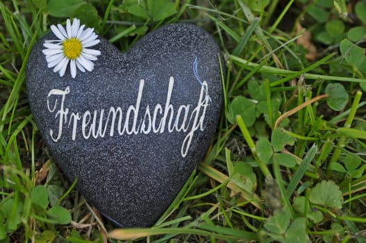 Friendship