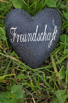 Friendship