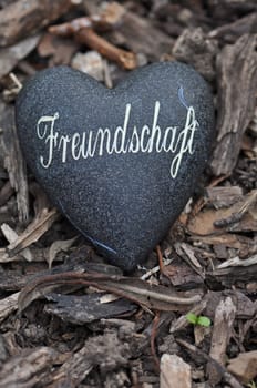 Friendship