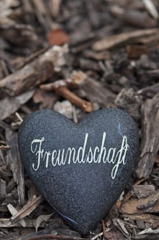 Friendship