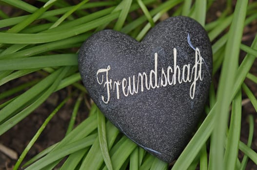 Friendship
