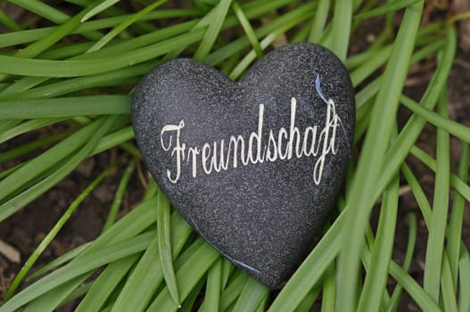 Friendship