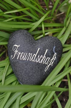 Friendship