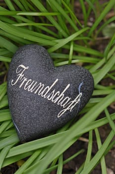 Friendship