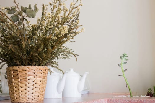 Tropical green plant pot interior, stock photo