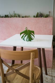 Green plant leave in vase cozy interior concept, stock photo