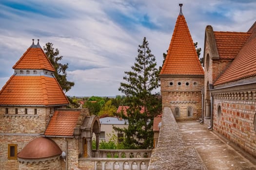 Fragment of the Castle in Szekesfehervar, Hungary