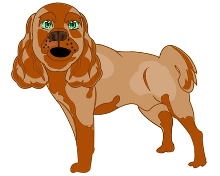 Vector illustration of the dog of the sort spahiel