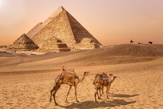 The Pyramids and camels in the Giza desert, Egypt.