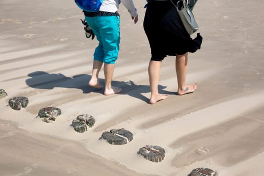 Coastal protection by wooden groynes on the sandy beach - two women walk barefoot on the beach, Cadzand, Zeeland, Netherlands