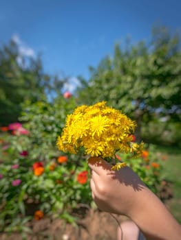 Child holds a bouquet of yellow blossoms in the sunshine in hand in front of blurred colorful background
