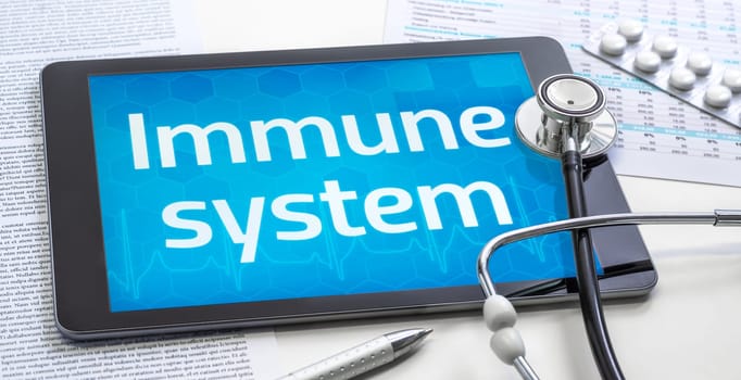 The word Immune system on the display of a tablet